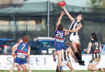 Magpies valiant against the Bulldogs