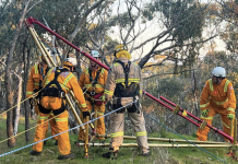 Puppy rescued from mine shaft