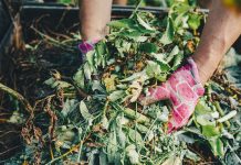 Free green waste disposal available