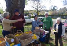 Local exchange continues to thrive