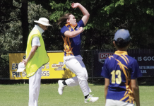 Bumper weekend of cricket action in CDCA