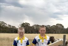 Sports Star of the Week: Harcourt cricket talent Lucas Hartnett