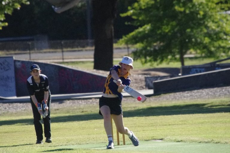 Batsman in fine form in CDCA