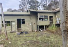 Call for action on Wattle Gully