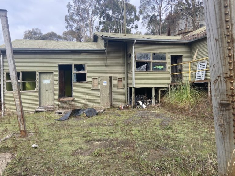 Call for action on Wattle Gully