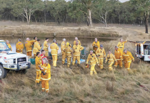 Quick response to Taradale fire