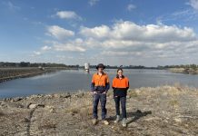 Diversifying skill sets