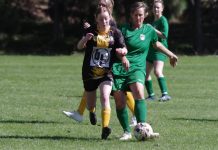 Maine lead BASL competition