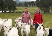 A fond farewell for Holy Goat Cheese