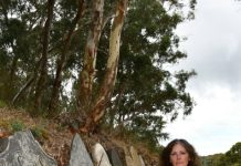 Desecration of historic human remains