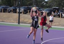 Creekers celebrate new court and cup
