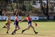 Sun shines on Falcons