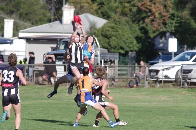 Magpies valiant against the Bulldogs