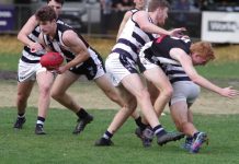 Magpies weather the Storm