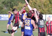 Lions roar through round five