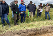 Healthy soil workshop and farm visit