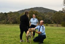 Prison Pet Partnership