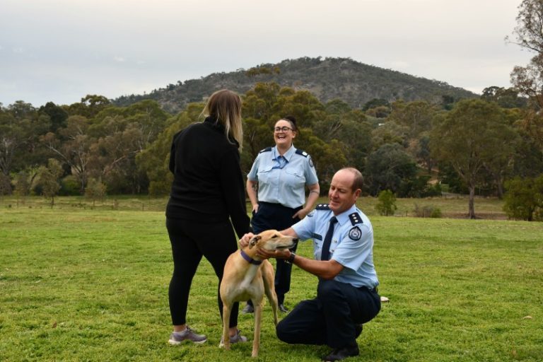 Prison Pet Partnership