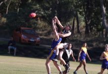 Creek valiant in Blue Ribbon clashes