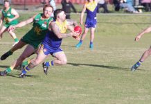 Lions roar over the Grasshoppers