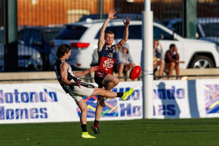 Magpies valiant against mighty Dragons