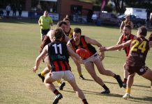 Mixed results for Maldon