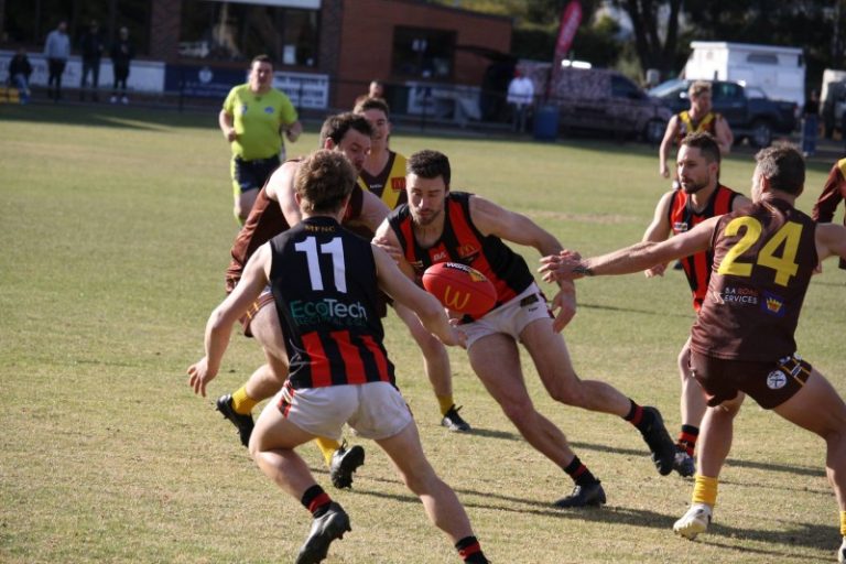 Mixed results for Maldon