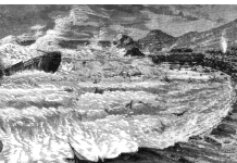 Castlemaine couple survive shipwreck terror