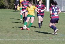 Castlemaine women dominate against Stingers