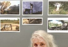 My Fryerstown with Julie Millowick