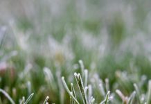 Prevent a frosty start to the day