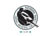 BFNL squash rumours regarding Maryborough