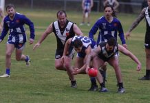 Campbells Creek digs deep