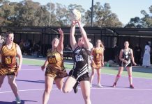 Campbells Creek netballers shine