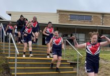 Falcons season wraps up