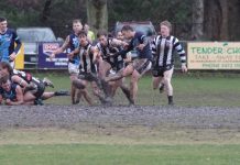 Magpies clip Hawks wings