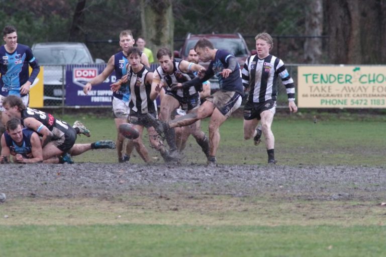 Magpies clip Hawks wings