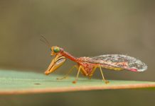 The importance of invisible things