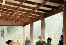 Brisk start for parkrunners