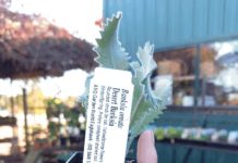 ASQ to Plant It Forward