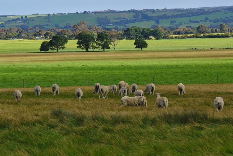 Learn about regenerative agriculture