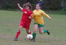 Goldfields produce strong performances