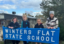 Celebrating 20 years of chess excellence