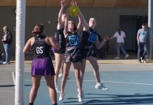 CDNA sides excel at annual tournament