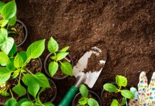 Garden fundraiser on soon