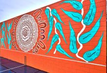 Djaara mural welcomes community to Norwood Hill