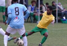 Goldfields triumph over Stars