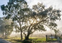 Wrapping up loose ends at council