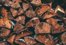 Spring firewood season opens