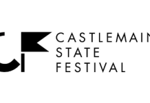 Industry experts look to future festivals